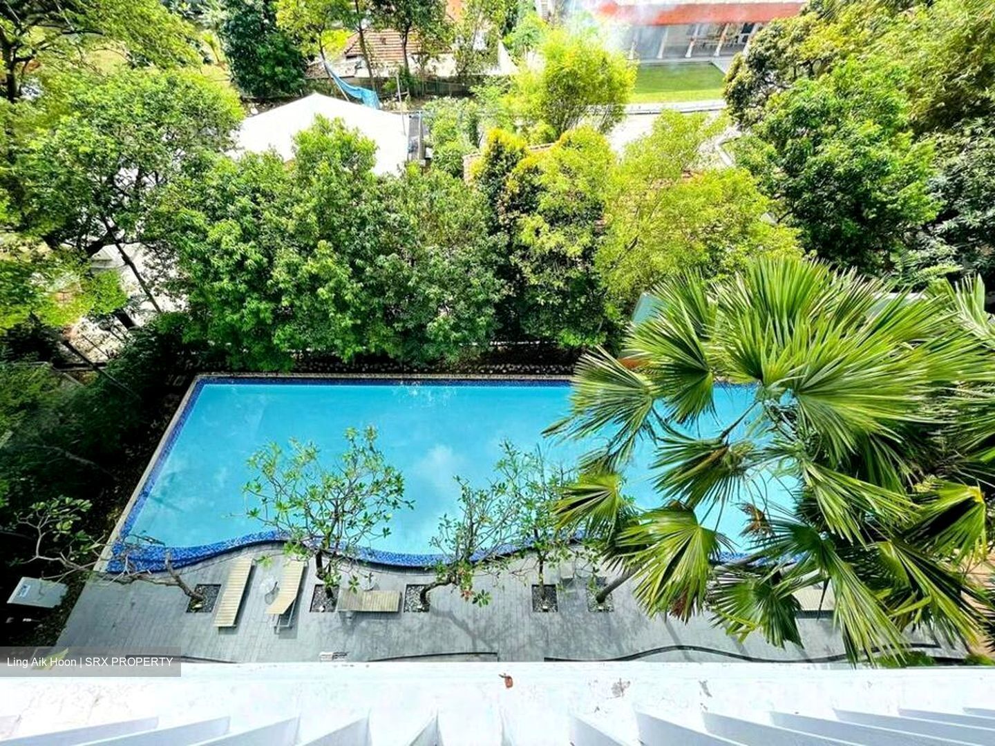 The Callista (D12), Apartment #503073571